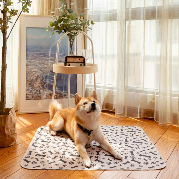 Premium Protection for Every Paw